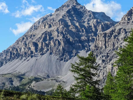 N°47 Tour de l'Aiguille Rouge