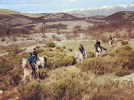 Ranch El Bronco