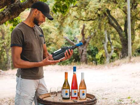 Vignobles en scène à Grimaud