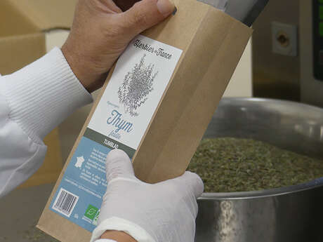 Arcadie - Visite guidée