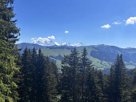Le Belvédère du Mont Lachat