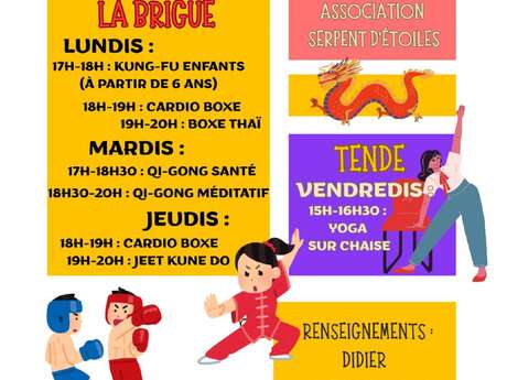 Martial arts and Chinese gymnastics, Serpent d'étoiles