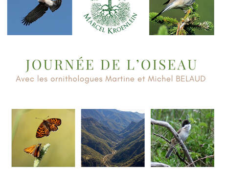 Journée de l'oiseau