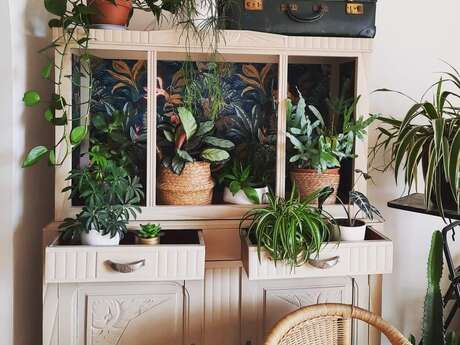 Corinne Cosentino « Le tiroir du chiffonnier »