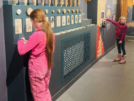 Enquête à la Maison du Bois