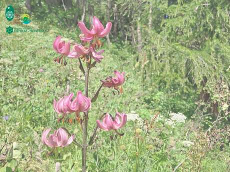 Les apéros de la Réserve au gîte de la Monta