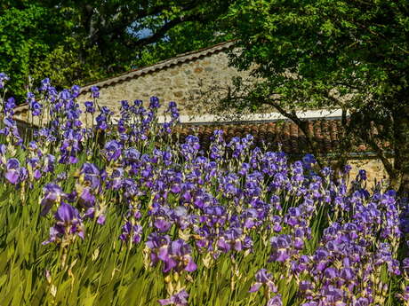 Domaine viticole Val d'Iris