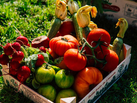 La Grande Tablée des Producteurs au Château Saint-Martin & Spa
