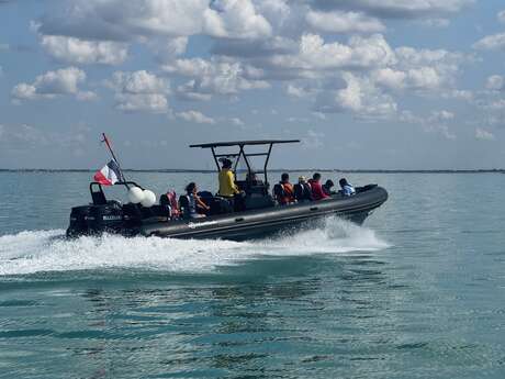 RIB trip 11m 1h Baie de Loix ou Fort de la Prée par Ile de Ré Nautisme