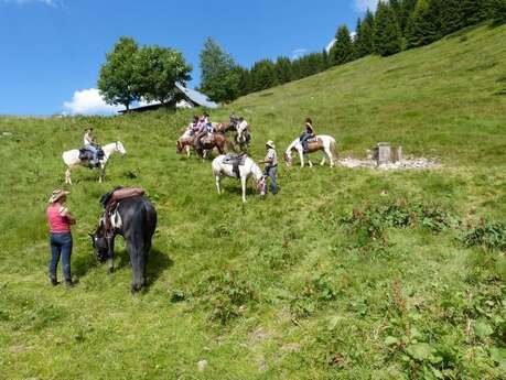 Randonnées à cheval "Le manège enchanté"