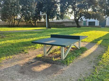 Ping pong table