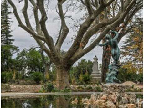 Réouverture du Rocher des Doms (phase 1)