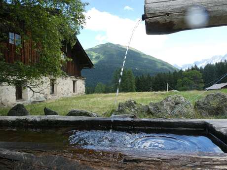 Balades Patrimoines de Sophie - Formule Engagement Privé