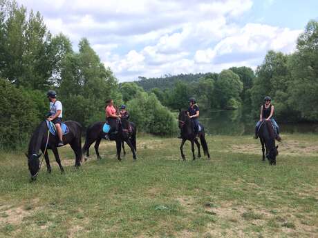 Haras des Villards: Journée détente à cheval/poney