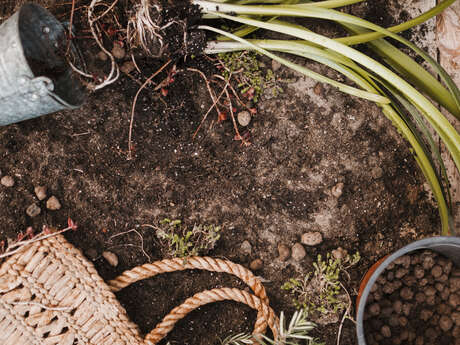 1er cours de permaculture : les vers de terre et leur rôle clé dans la santé des sols