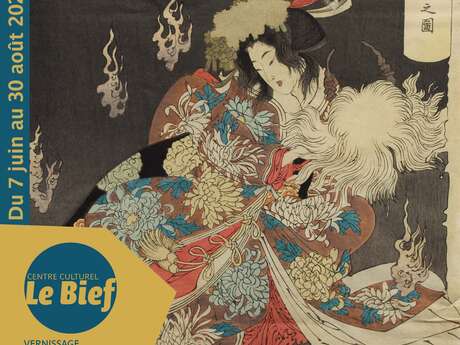 Exposition : estampes japonaises du XIXeme siècle