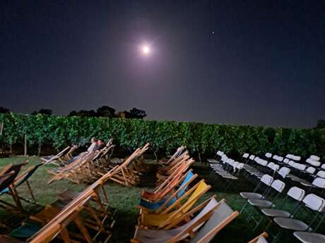 Ciné dans les vignes