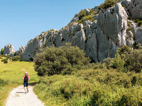 Oppidum des Caisses de Jean Jean