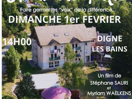 Projection - Grain de Folie