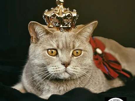 Der Meister und Margarita - Théâtre des 2 Mondes