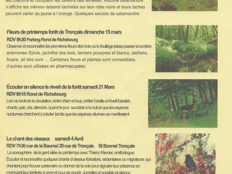 Ecouter en silence le réveil de la forêt