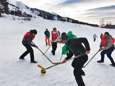 Hockey sur neige