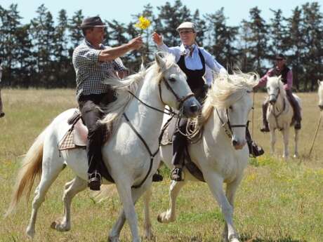 Excursion en Camargue