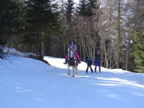 Initiation au ski-Joering au Collet