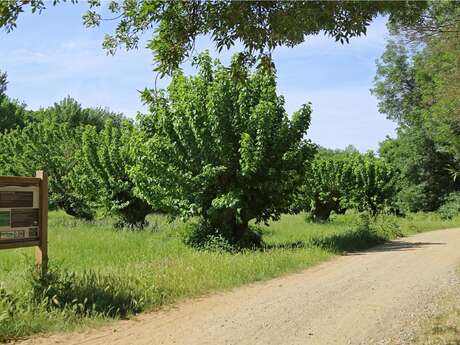 Parcours découverte de la Vallée de La Mole