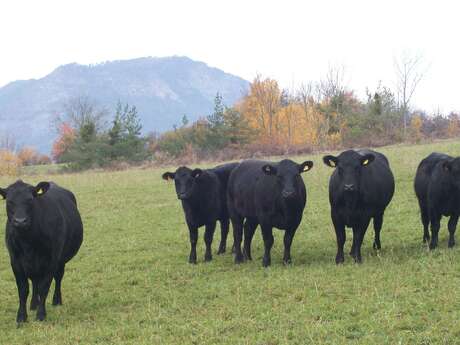 La Ferme des Pélissones