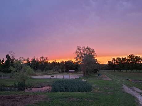 Ecurie de Bordeneuve