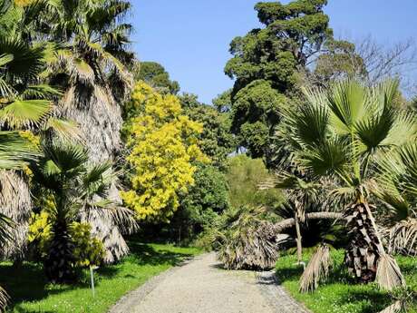Jardin botanique Villa Thuret