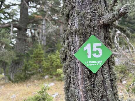 Circuit VTT N°50 La Pitchoun