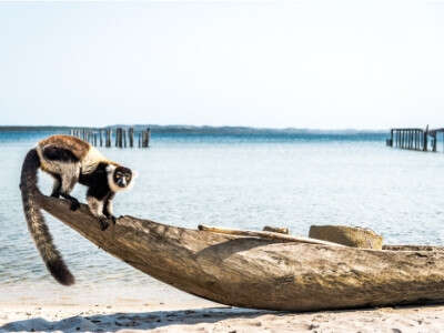 Le voyage humain et équitable - Human trip