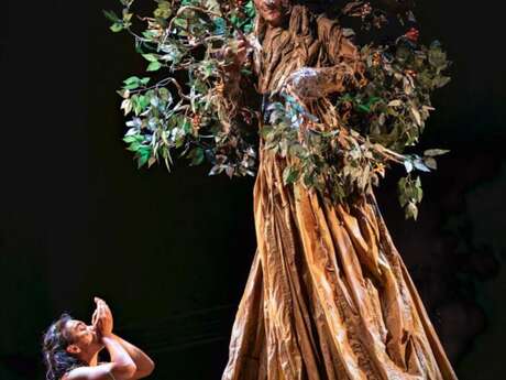 L'enfant de l'arbre
