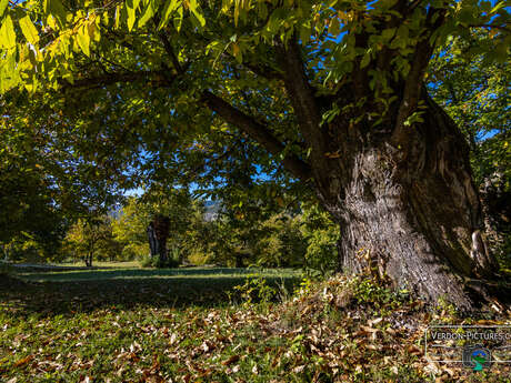 Rendez-vous Pays d'art et d'histoire