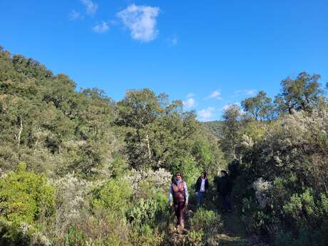 Balade accompagnée à la découverte de la biodiversité au Domaine de la Portanière