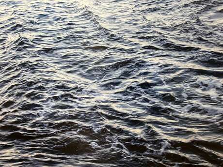 Rencontre avec Mélanie Dornier et Isabelle Camps