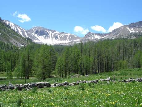 Plateau de Sestrière