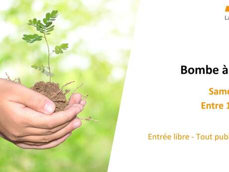 Bombe à graines