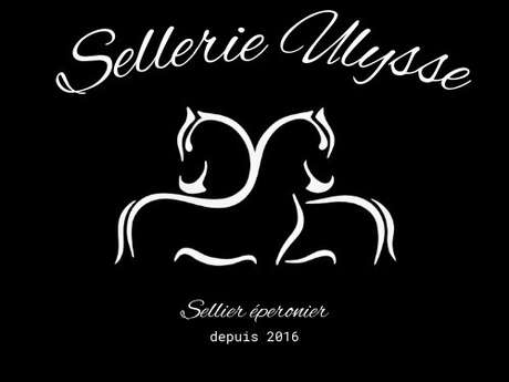 Sellerie Ulysse