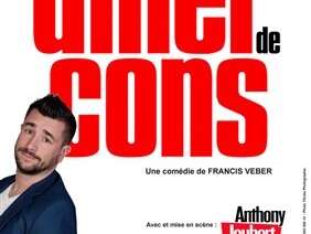 Le dîner de cons