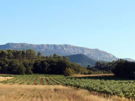 Domaine de la Batelière