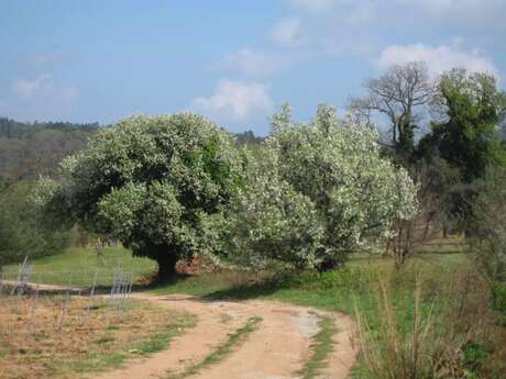 Saint-Clément - Rando 2