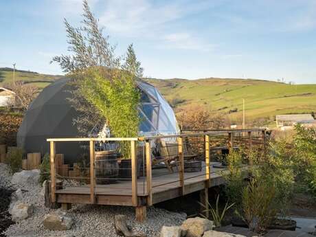 La bulle du coq à l'âne