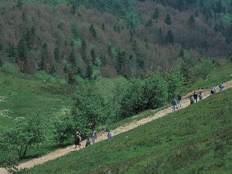 Marche des Ollagnes