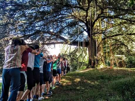 Arbatou Grimpe d'Arbres