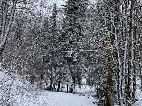 Balade découverte "Le chemin de Runac"