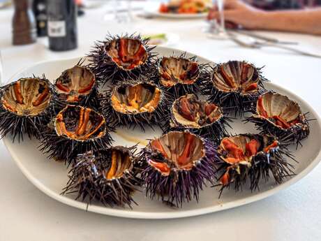 Calend'Arles au Forum : Oursinade