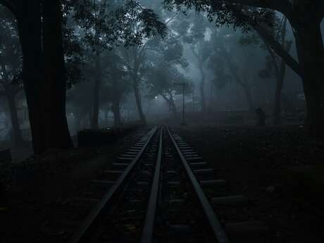 Omnibus Horror Show - Train d'Halloween
